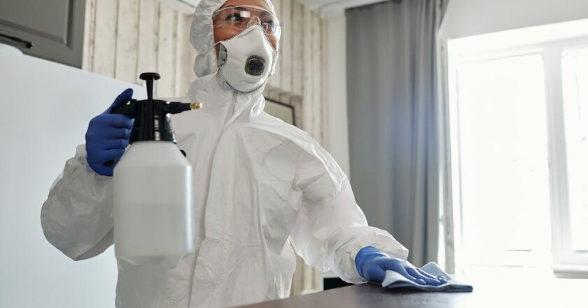 DDD – podstawowe informacje o dezynfekcji, dezynsekcji i deratyzacji