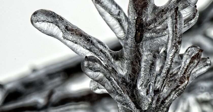 Komory mroźnicze w ujęciu technicznym