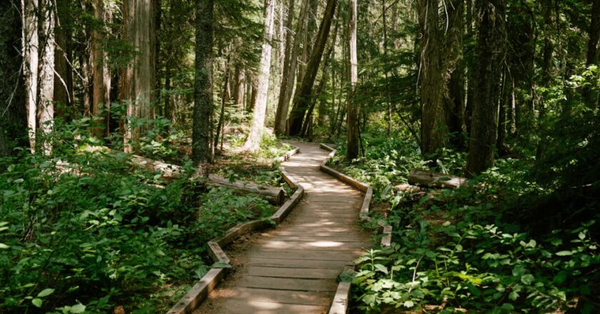 Górskie ścieżki do odkrywania