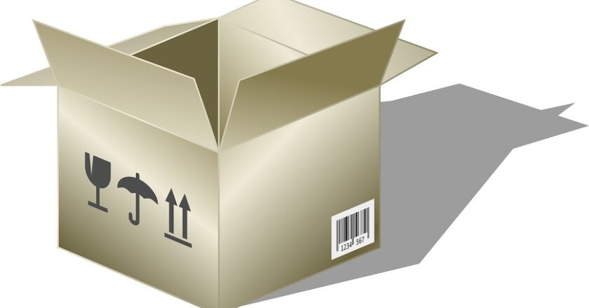 Możliwości w zakresie usług przeprowadzkowych