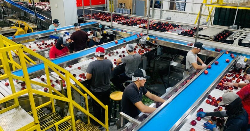 Systemy transportowe – automatyzacja przemieszczania materiałów w zakładach przemysłowych